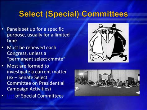 Definition of 'special committee' .